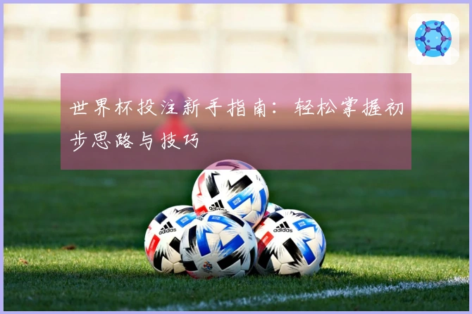 世界杯投注新手指南：轻松掌握初步思路与技巧