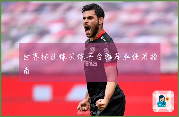 世界杯让球买球平台推荐和使用指南