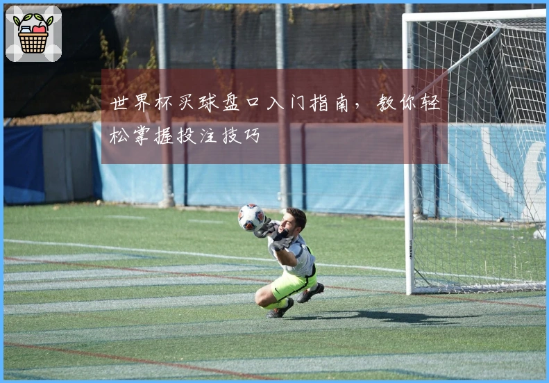 世界杯买球盘口入门指南，教你轻松掌握投注技巧