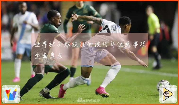 世界杯买球投注的技巧与注意事项全面盘点