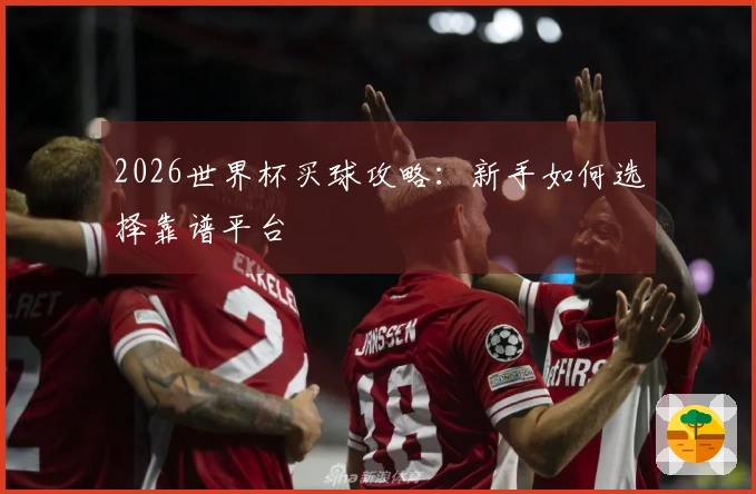 2026世界杯买球攻略：新手如何选择靠谱平台