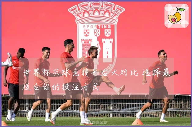 世界杯买球竞猜平台大对比 选择最适合你的投注方式