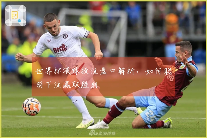 世界杯滚球投注盘口解析，如何聪明下注赢取胜利