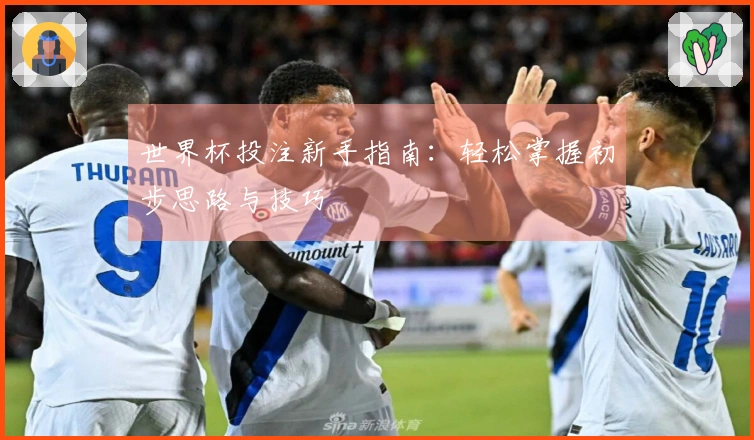 世界杯投注新手指南：轻松掌握初步思路与技巧